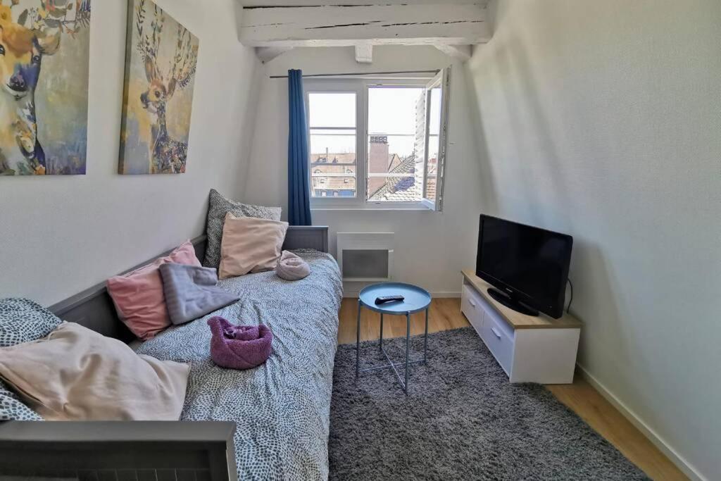 ** Appartement Cathedrale Strasbourg Centre** 외부 사진